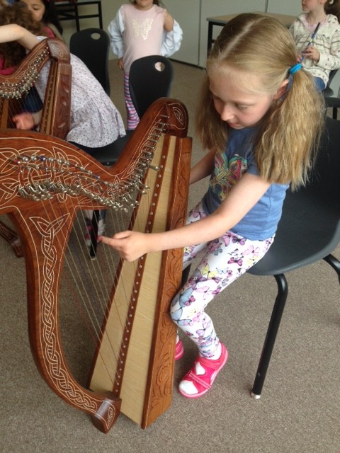Introduction to Irish Music at Ceol na Coille Summer Schoo