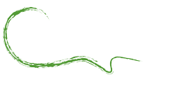 Ceol-Na-Coille-Logo